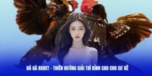 Đá Gà 8XBET - Trải Nghiệm Cảm Giác Mới Lạ Đầy Hồi Hộp